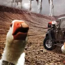 houmicek