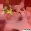 phazer_phazer