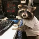 hardworkingracoon6002