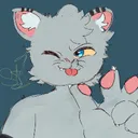 willsilvah