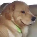 hapypupy
