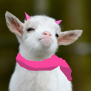 Avatar for Aleksander