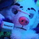 ampfurry