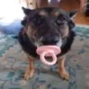 Аватар amapuzzy