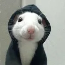 .pabloz.
