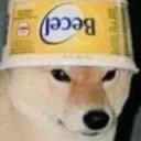 hachiko.exe