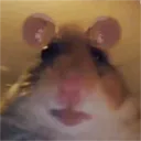 gurumie