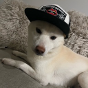 avatar Paradise Seeker