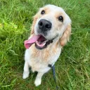 jack.co.uk