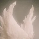angel.dust._.