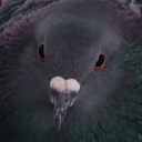 avatar 𝖑𝖎𝖓𝖈𝖍𝖞