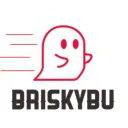 briskybu