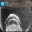 falloutoker avatar