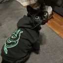 vanishedkid