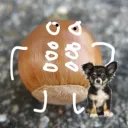 johnqtt
