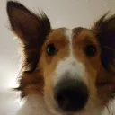 zeitherr