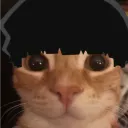 zozo