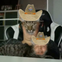 maxel_