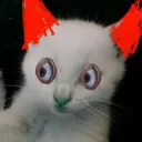 novntor