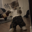 котик наркотик