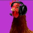 Chicken gamer's Avatar