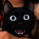 itsnotriko