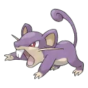 rattatasensei