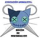 rincondenekomiau