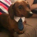 avatar ! Sei_Nao 疲れた