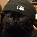 avatar ! Sei_Nao 疲れた