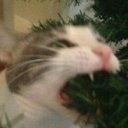 avatar ! Sei_Nao 疲れた