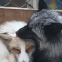 avatar RⵡΠICΔLCHΣMIST