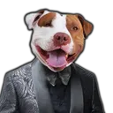 saimsboy
