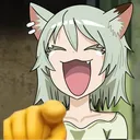 kuifudes