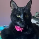itscoffeequeen