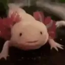 taykitsune