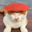 jordekatt