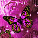 avatar 💓 ButterFlyGirl💓