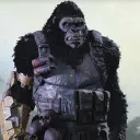 drjason00