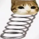regularhuh