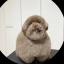 kintsugibs
