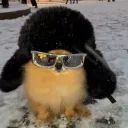 frostyadder