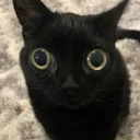poplet