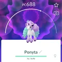 maxiponyta