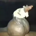 l4zk