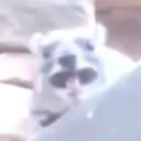 usatiy_