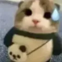 Аватар dangerfranya1332