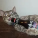 miilking