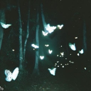 avatar ꁴꁲꃃꋪꀤꋊꁲ