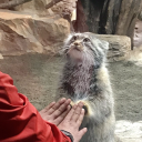 avatar 𝕞𝕚𝕤𝕤𝕔𝕠𝕞𝕖𝕥𝕒